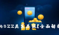 TP钱包的BZZ是真是假？全面解析与调研