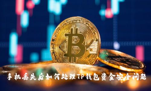 手机丢失后如何处理TP钱包资金安全问题