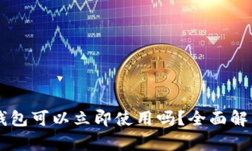 新创建的TP钱包可以立即使用吗？全面解析与使用指南