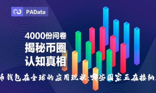 数字人民币钱包在全球的应用现状：哪些国家正在接纳数字货币?