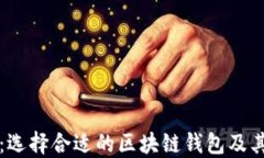 全面解读：选择合适的区块链钱包及其使用指南