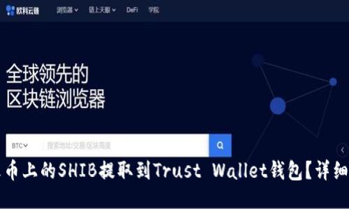 如何将火币上的SHIB提取到Trust Wallet钱包？详细操作指南