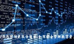 TP钱包密钥更改全解析：如何安全管理数字资产