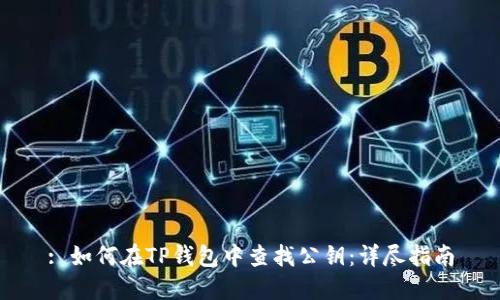 : 如何在TP钱包中查找公钥：详尽指南