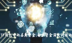 如何恢复TP钱包中的丢失资金：解决资金消失问题