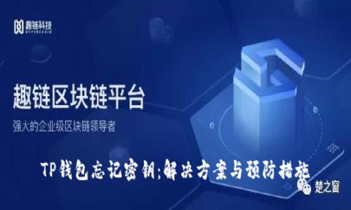 TP钱包忘记密钥：解决方案与预防措施