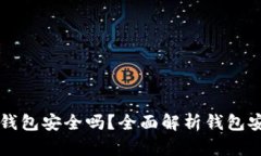 不记名加密货币钱包安全吗？全面解析钱包安全