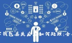 : 数字钱包丢失后应如何处理：全面指南