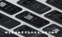 探索美国数字钱包的未来：机遇与挑战