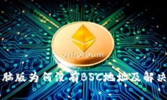 TP钱包电脑版为何没有BSC地址及解决方案分析