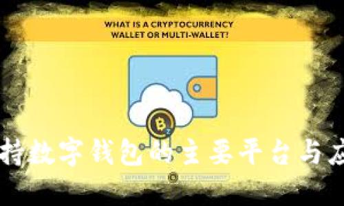 支持数字钱包的主要平台与应用