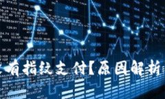 TP钱包为什么没有指纹支付？原因解析与可行替代