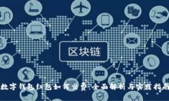 数字钱包红包如何交费：全面解析与实践指南