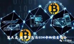 楚天龙：数字钱包与SIM卡的完美结合