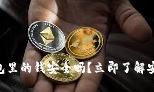 2025必看：数字钱包里的钱安全吗？立即了解安全风险与保护措施