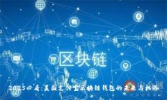 2025必看：美国支付宝区块链钱包的未来与机遇