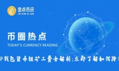 2023年T P钱包货币链矿工费全解析：立即了解如何