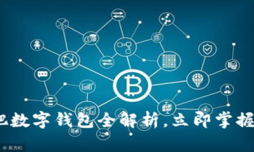 2025必看：合肥数字钱包全解析，立即掌握未来支付趋势！