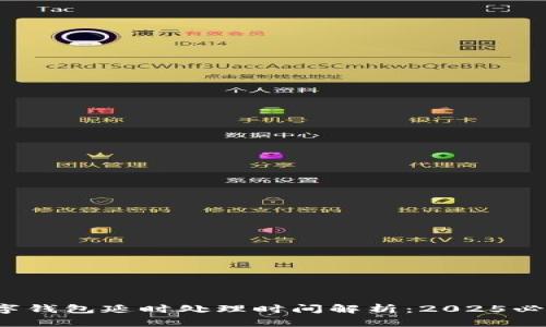 数字钱包延时处理时间解析：2025必看！