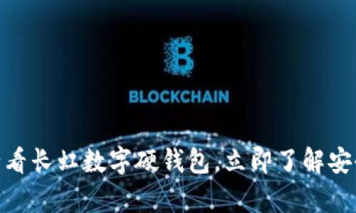 解锁未来金融：2025必看长虹数字硬钱包，立即了解安全存储加密货币的秘密