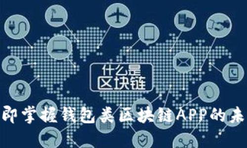 2025必看！立即掌握钱包类区块链APP的未来趋势与实践