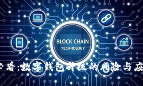 2025必看：数字钱包升级的风险与应对策略