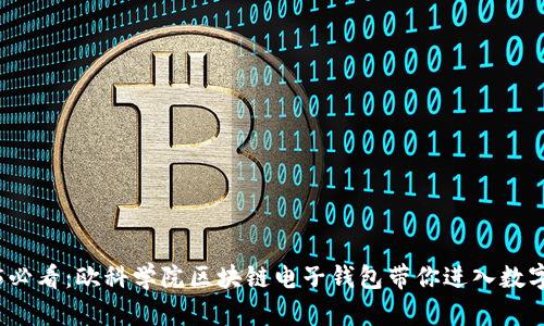 “2025必看：欧科学院区块链电子钱包带你进入数字未来”