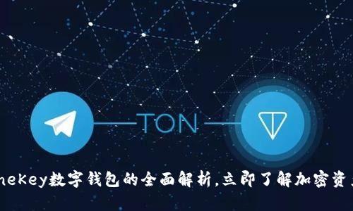 2025必看：OneKey数字钱包的全面解析，立即了解加密资产管理新趋势