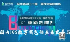 2025必看：国内iOS数字钱包的未来发展与你息息相