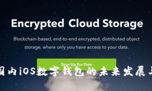 2025必看：国内iOS数字钱包的未来发展与你息息相关
