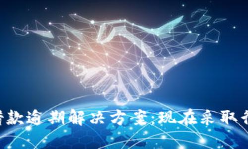2023年数字钱包借款逾期解决方案：现在采取行动，避免财务危机！