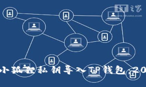 如何立即将小狐狸私钥导入TP钱包：2025必看指南