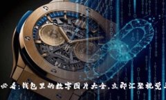 2025必看：钱包里的数字图片大全，立即汇聚视觉