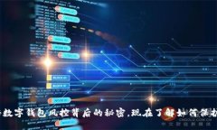 2025必看：揭秘数字钱包风控背后的秘密，现在了