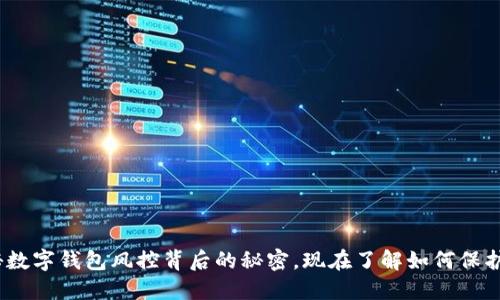 2025必看：揭秘数字钱包风控背后的秘密，现在了解如何保护您的资金安全！