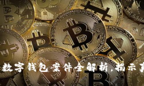 《2025必看：广西数字钱包案件全解析，揭示真相与未来影响！》