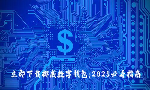 立即下载挪威数字钱包：2025必看指南