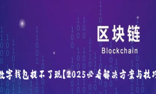 数字钱包提不了现？2025必看解决方案与技巧
