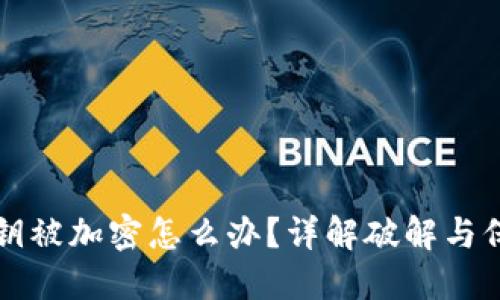 钱包私钥被加密怎么办？详解破解与保护技巧