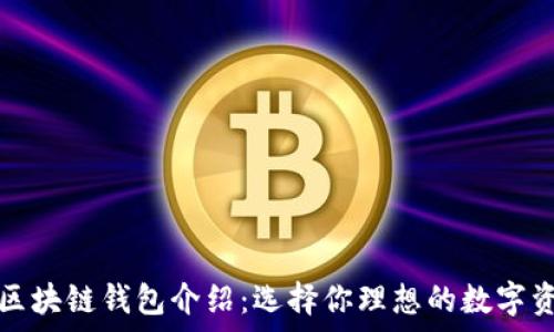   
国外常见的区块链钱包介绍：选择你理想的数字资产存储方案