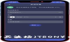 如何在TP钱包中购买波场（TRON）币：详细步骤与