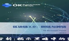 非法数字钱包案例分析：揭示黑暗中的资金流转