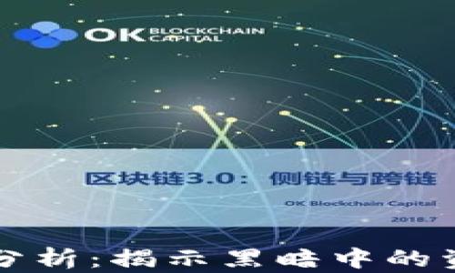 
非法数字钱包案例分析：揭示黑暗中的资金流转与监管漏洞