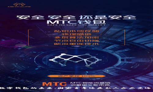 数字钱包的未来：国家主导还是私人企业竞逐？