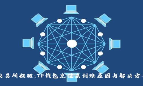 交易所提醒：TP钱包充值未到账原因与解决方案