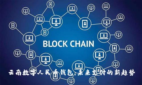云南数字人民币钱包：未来支付的新趋势