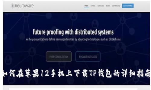 如何在苹果12手机上下载TP钱包的详细指南