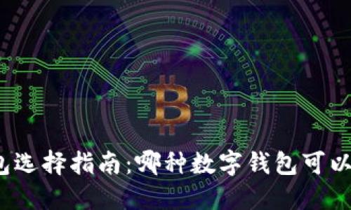数字钱包选择指南：哪种数字钱包可以兑换币？