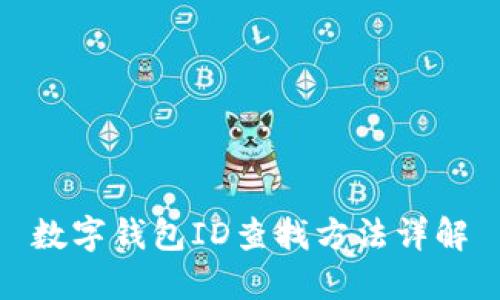 数字钱包ID查找方法详解
