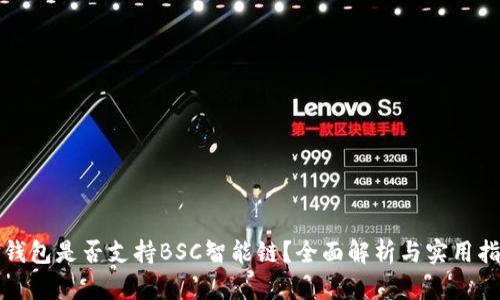 TP钱包是否支持BSC智能链？全面解析与实用指南